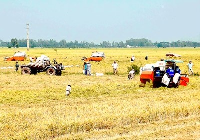 Agriculture – backbone of Vietnam’s economy in 2012 - ảnh 2
